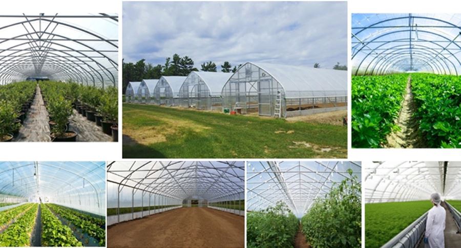 polyethylene plastic sheeting greenhouse manufacture