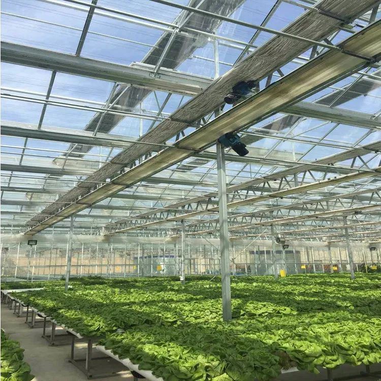 Glass greenhouse interior display Glass greenhouse interior display