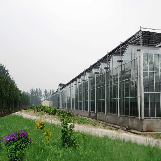 There will be five major trends in the future of agriculture There will be five major trends in the future of agriculture
