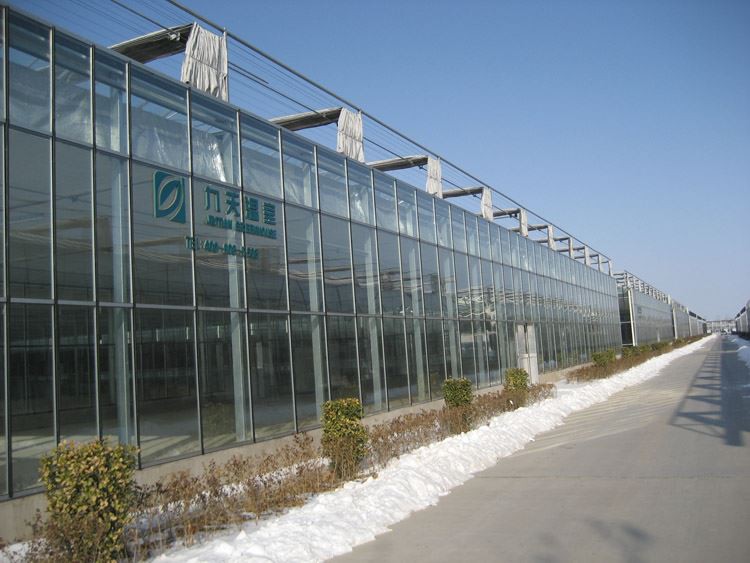 Glass Greenhouses Project