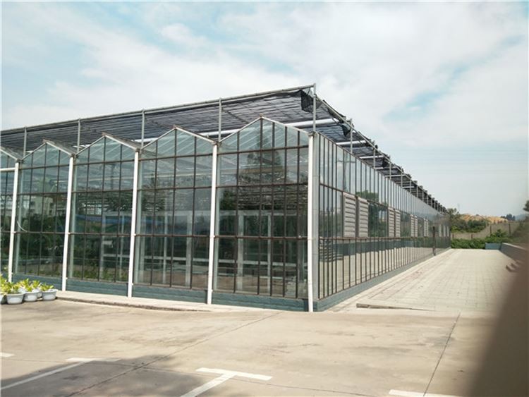 multi-span greenhouses