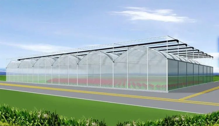 multi-span greenhouse
