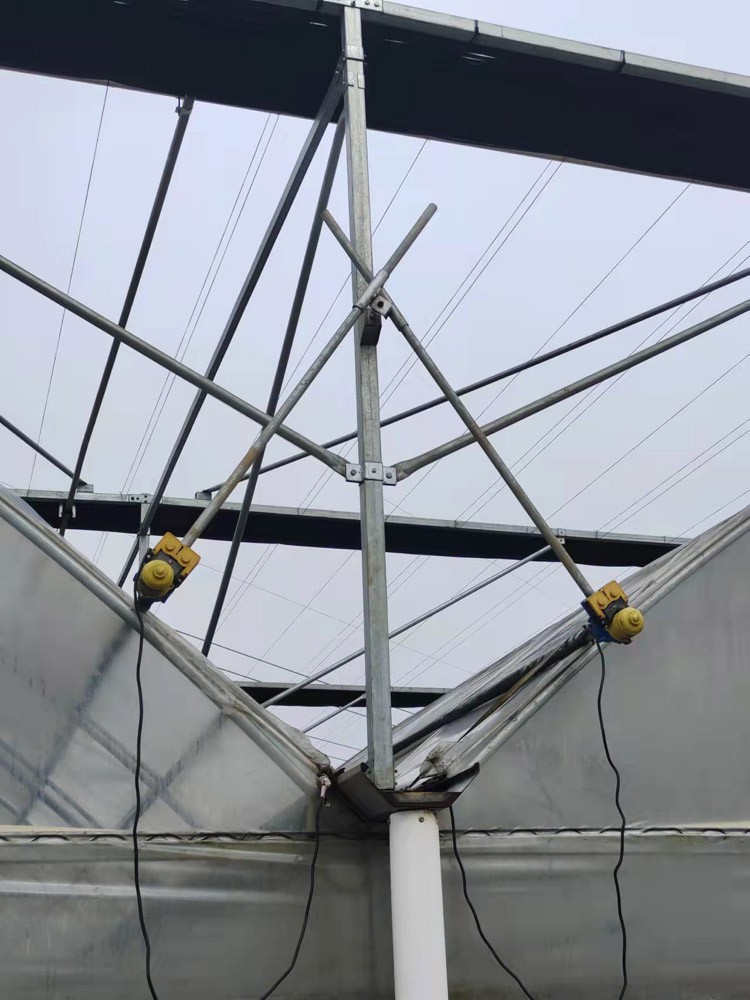 agricultural leisure greenhouse