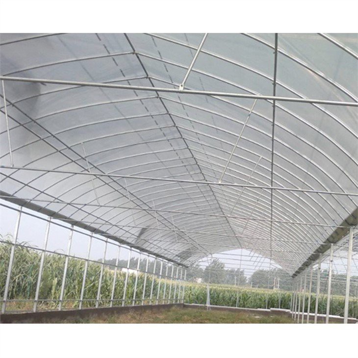 50 x 100 greenhouse plastic price