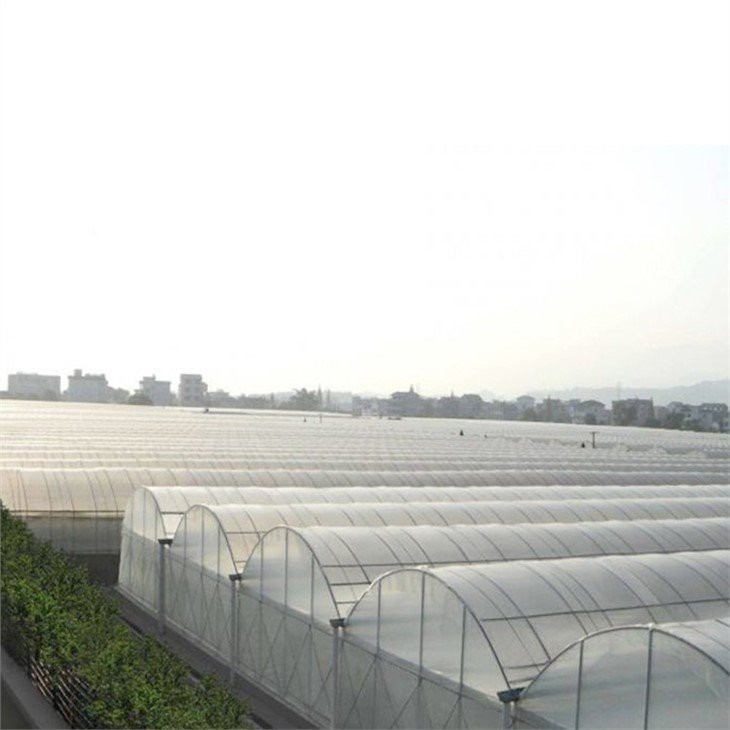 china 50 x 100 greenhouse plastic