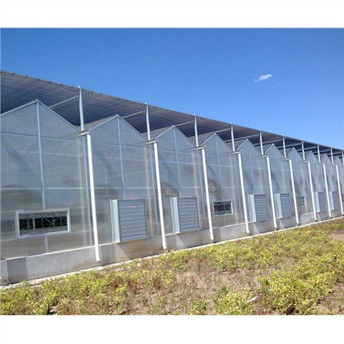 Aluminium -Gewächshaus -PC