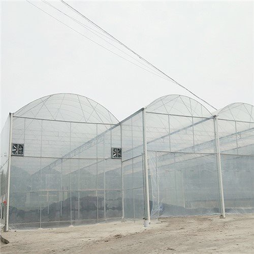 Gewächshaus -Plastik -Heimdepot