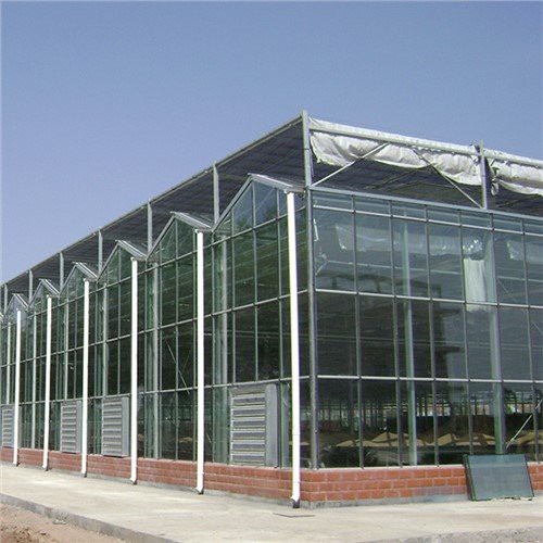 Polycarbonat-Kunststoff für Gewächshaus