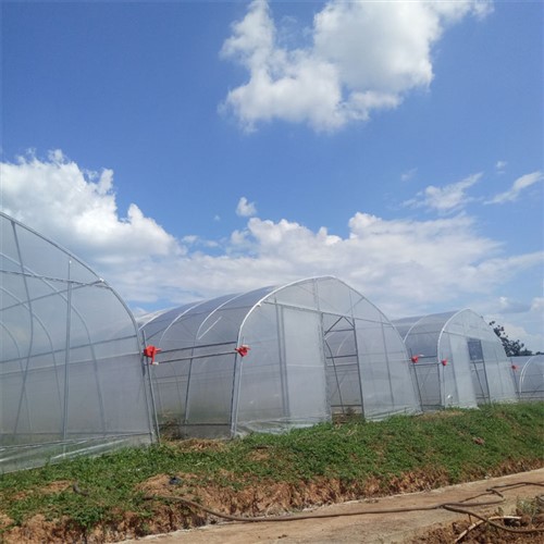 Plastikfilm mit Single-Span-Gewächshaus